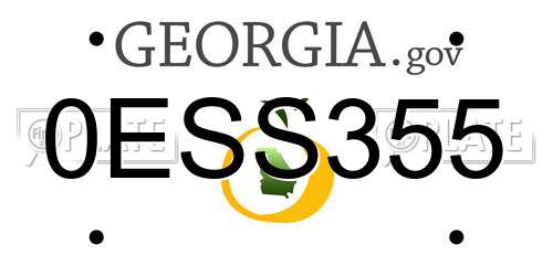 0ESS355 Georgia License Plate