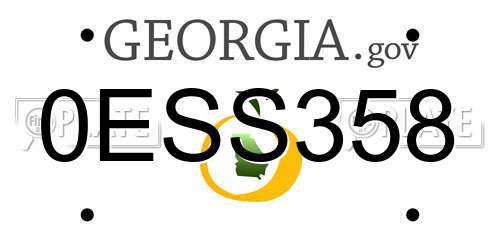 0ESS358 Georgia License Plate