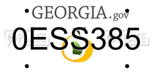 0ESS385 Georgia License Plate
