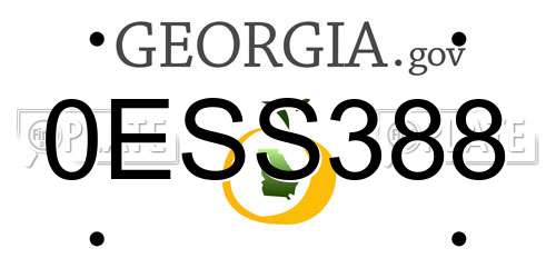 0ESS388 Georgia License Plate