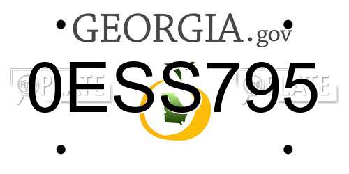 0ESS795 Georgia License Plate