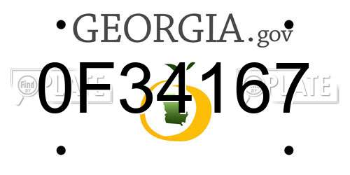 0F34167 Georgia License Plate
