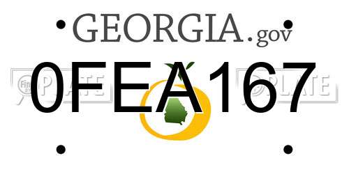 0FEA167 Georgia License Plate
