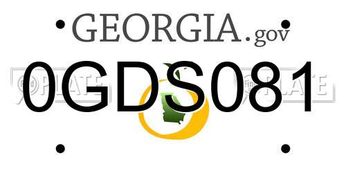 0GDS081 Georgia License Plate