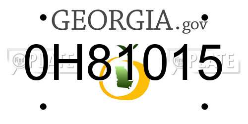 0H81015 Georgia License Plate