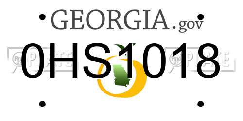 0HS1018 Georgia License Plate