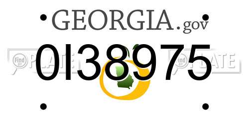 0I38975 Georgia License Plate
