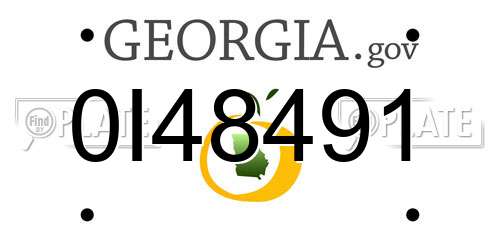 0I48491 Georgia License Plate
