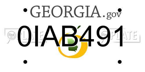 0IAB491 Georgia License Plate