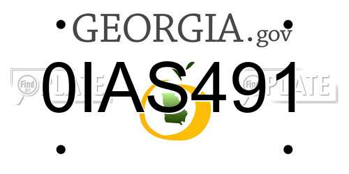 0IAS491 Georgia License Plate