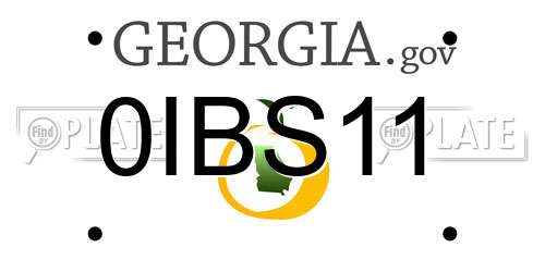 0IBS11 Georgia License Plate
