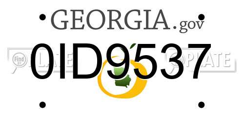 0ID9537 Georgia License Plate