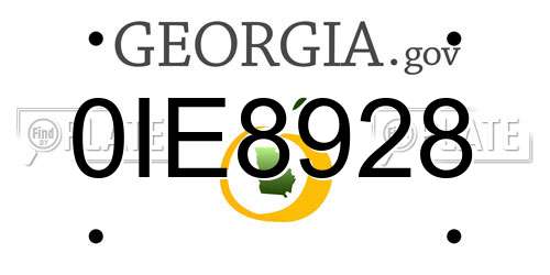 0IE8928 Georgia License Plate