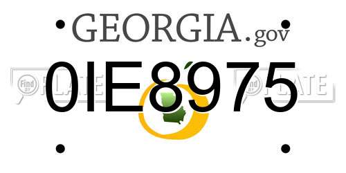 0IE8975 Georgia License Plate