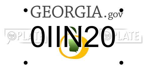 0IIN20 Georgia License Plate