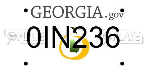 0IN236 Georgia License Plate