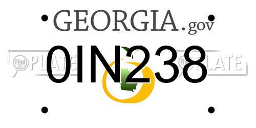 0IN238 Georgia License Plate