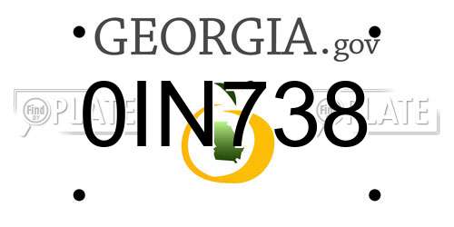 0IN738 Georgia License Plate