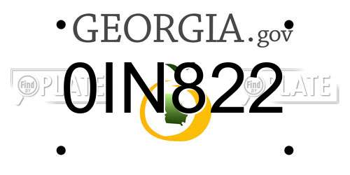 0IN822 Georgia License Plate