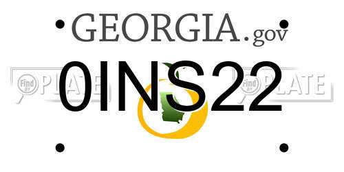 0INS22 Georgia License Plate