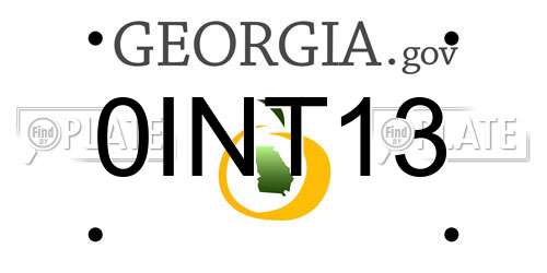 0INT13 Georgia License Plate