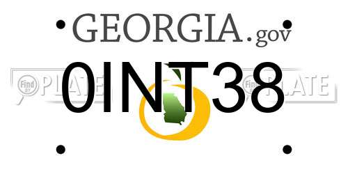 0INT38 Georgia License Plate