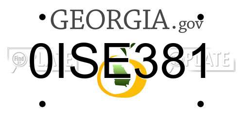 0ISE381 Georgia License Plate
