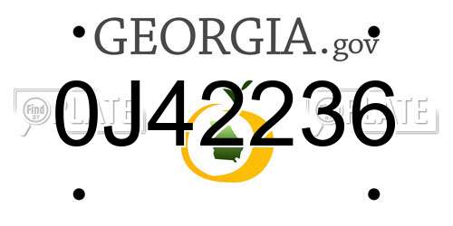 0J42236 Georgia License Plate