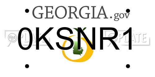 0KSNR1 Georgia License Plate