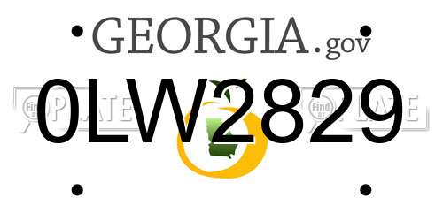 0LW2829 Georgia License Plate