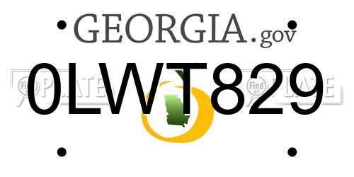 0LWT829 Georgia License Plate