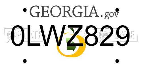 0LWZ829 Georgia License Plate