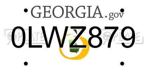 0LWZ879 Georgia License Plate