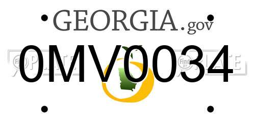 0MV0034 Georgia License Plate