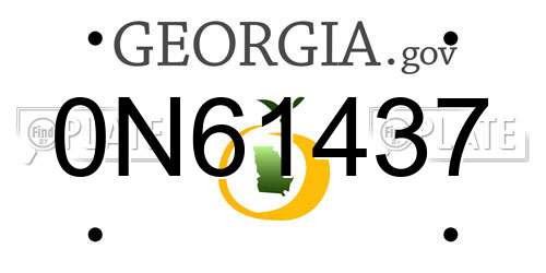 0N61437 Georgia License Plate