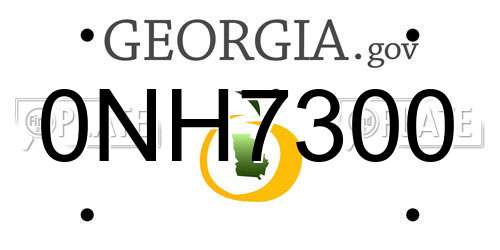 0NH7300 Georgia License Plate