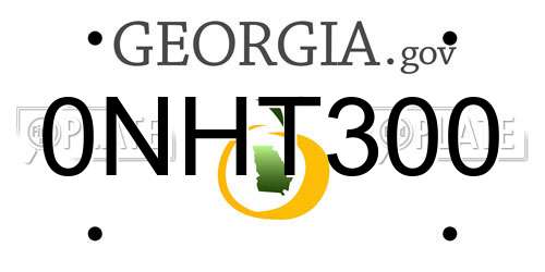 0NHT300 Georgia License Plate