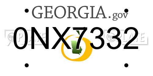 0NX7332 Georgia License Plate
