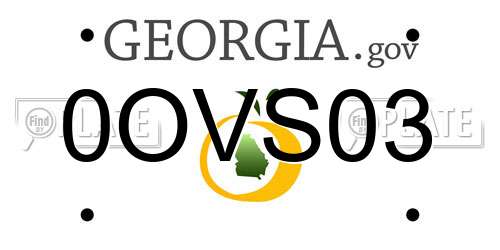 0OVS03 Georgia License Plate