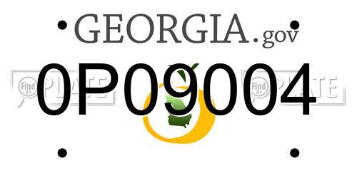 0P09004 Georgia License Plate