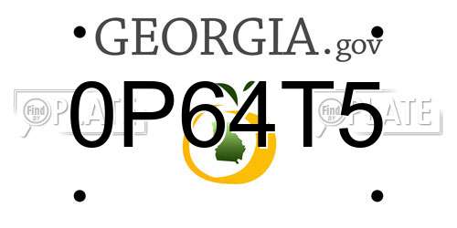 0P64T5 Georgia License Plate