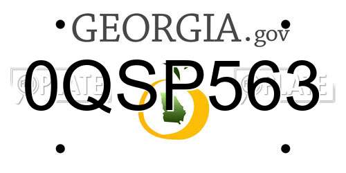 0QSP563 Georgia License Plate