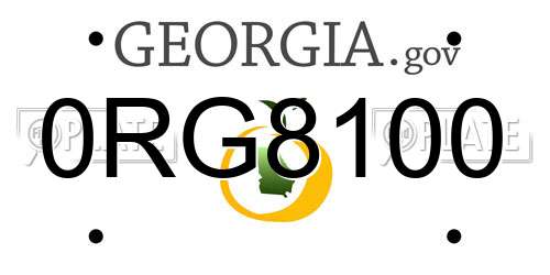 0RG8100 Georgia License Plate