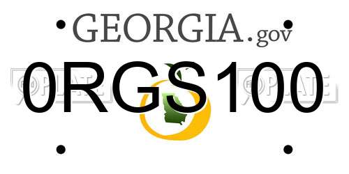 0RGS100 Georgia License Plate