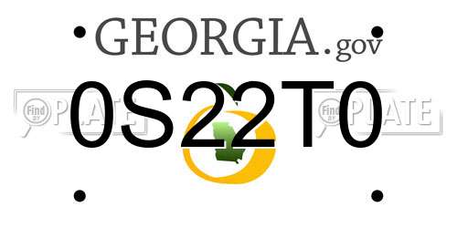 0S22T0 Georgia License Plate
