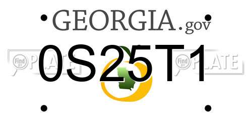 0S25T1 Georgia License Plate