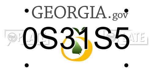 0S31S5 Georgia License Plate