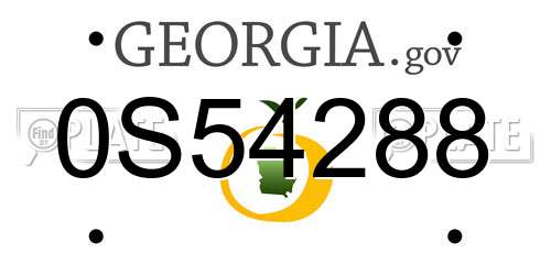 0S54288 Georgia License Plate
