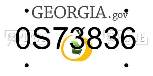 0S73836 Georgia License Plate