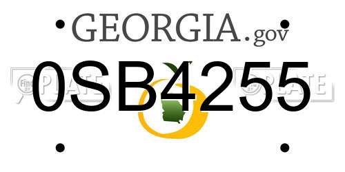0SB4255 Georgia License Plate